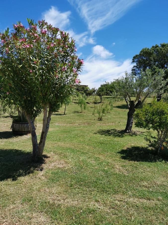 Home Garden Синискола Екстериор снимка