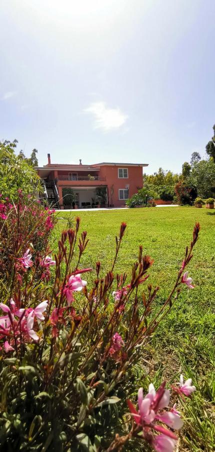 Home Garden Синискола Екстериор снимка
